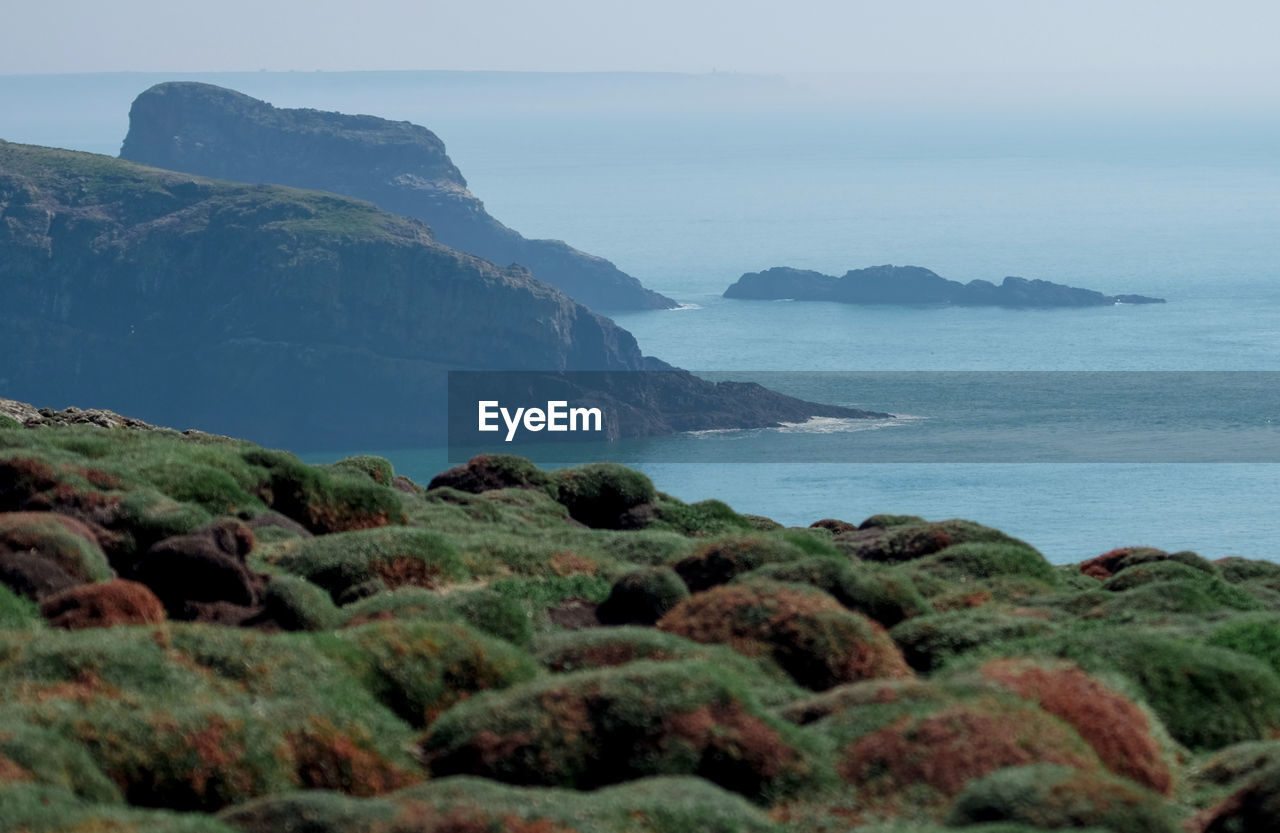 sea, land, water, coast, rock, scenics - nature, beauty in nature, beach, ocean, sky, nature, shore, cliff, environment, terrain, landscape, tranquility, mountain, no people, body of water, bay, tranquil scene, coastline, travel, horizon, travel destinations, outdoors, horizon over water, seascape, day, plant, tourism, non-urban scene, idyllic