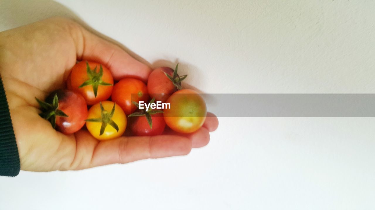 CROPPED IMAGE OF PERSON HOLDING FRUIT