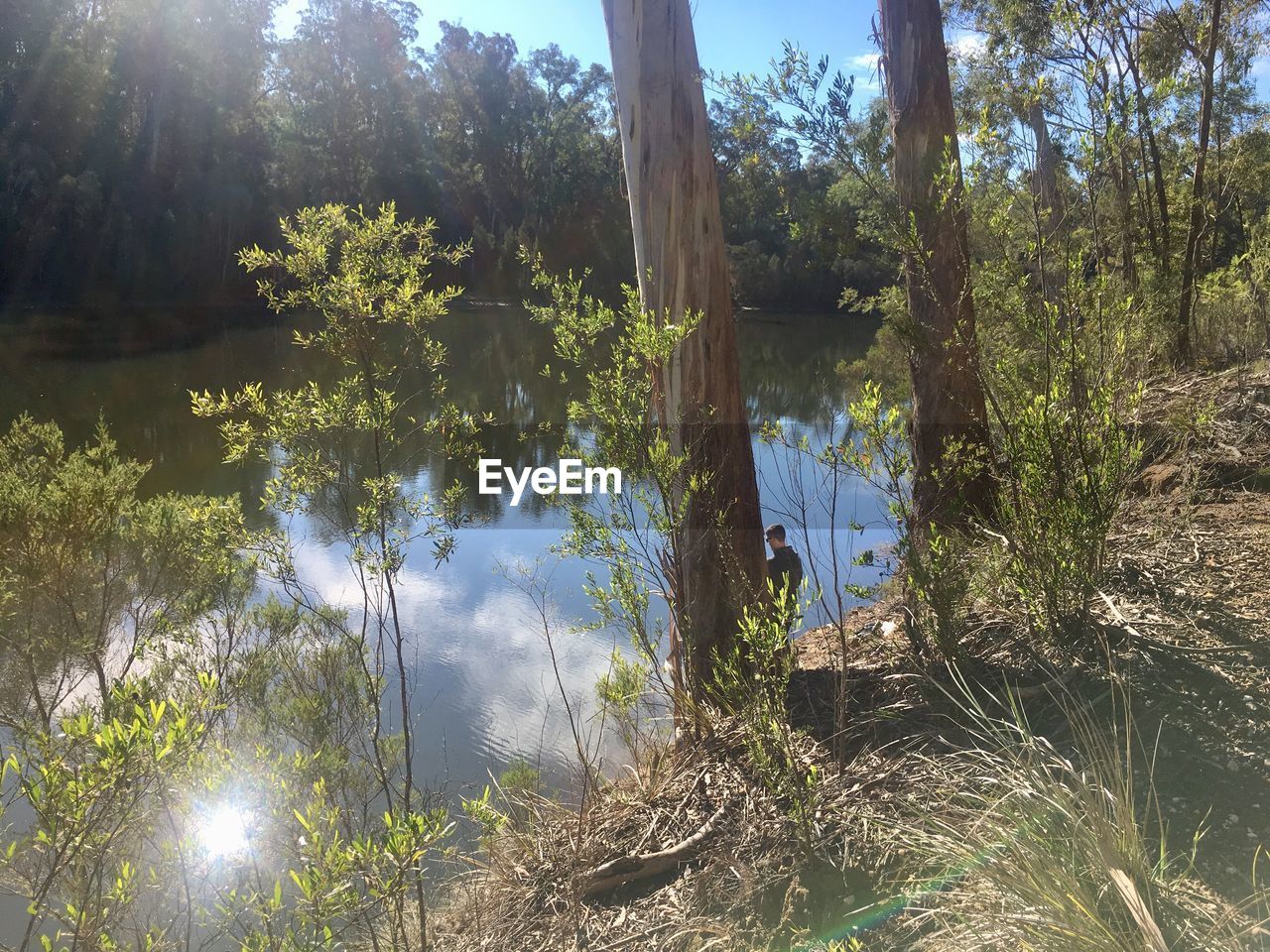 REFLECTION OF TREES IN LAKE AGAINST SKY