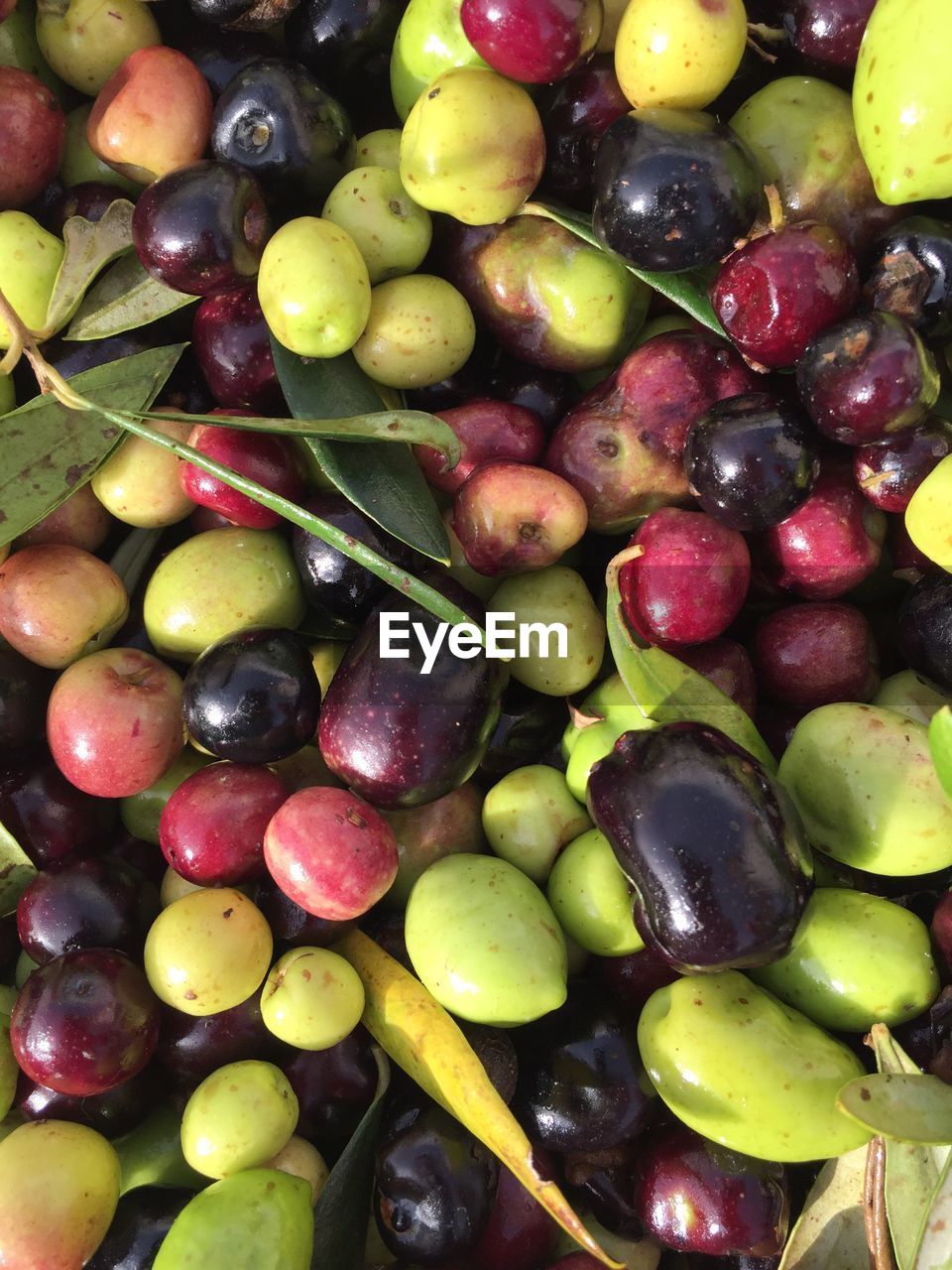 Full frame shot of olives for sale at market