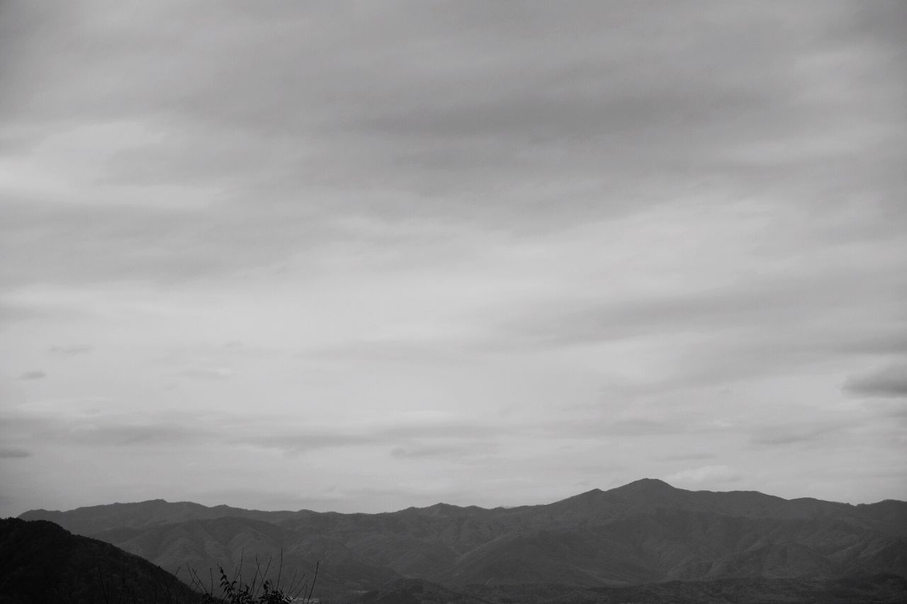 LANDSCAPE AGAINST SKY