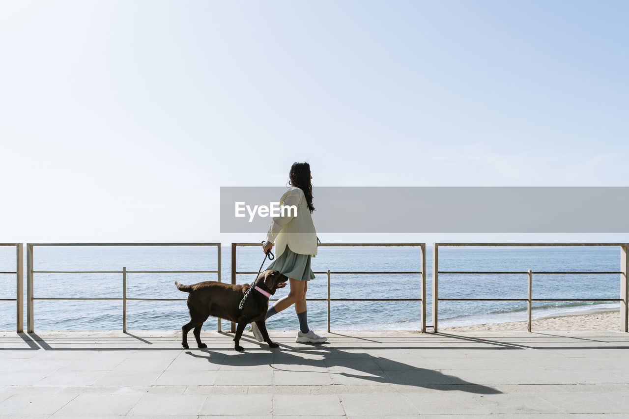 Mid adult woman walking with labrador dog by railing at beach during sunny day