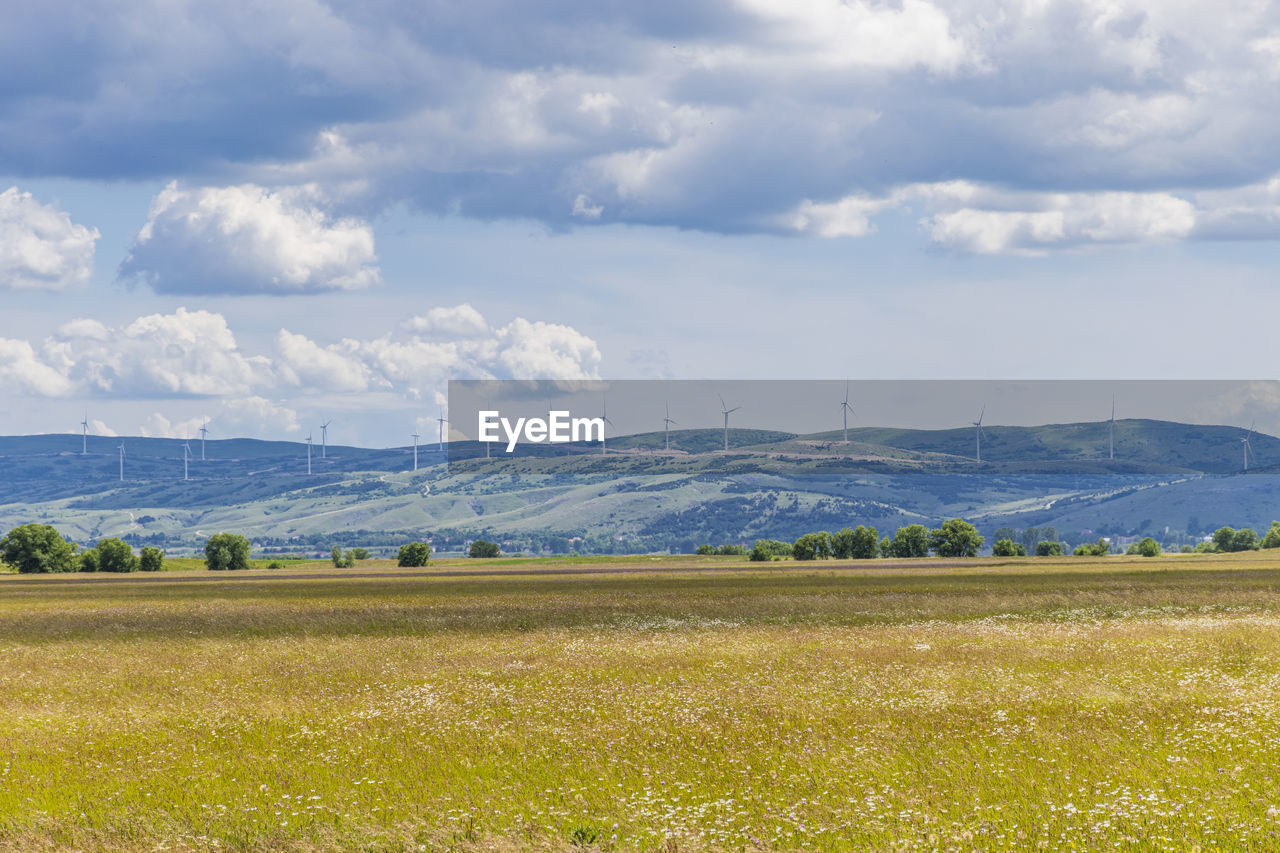 Scenic view of field against sky