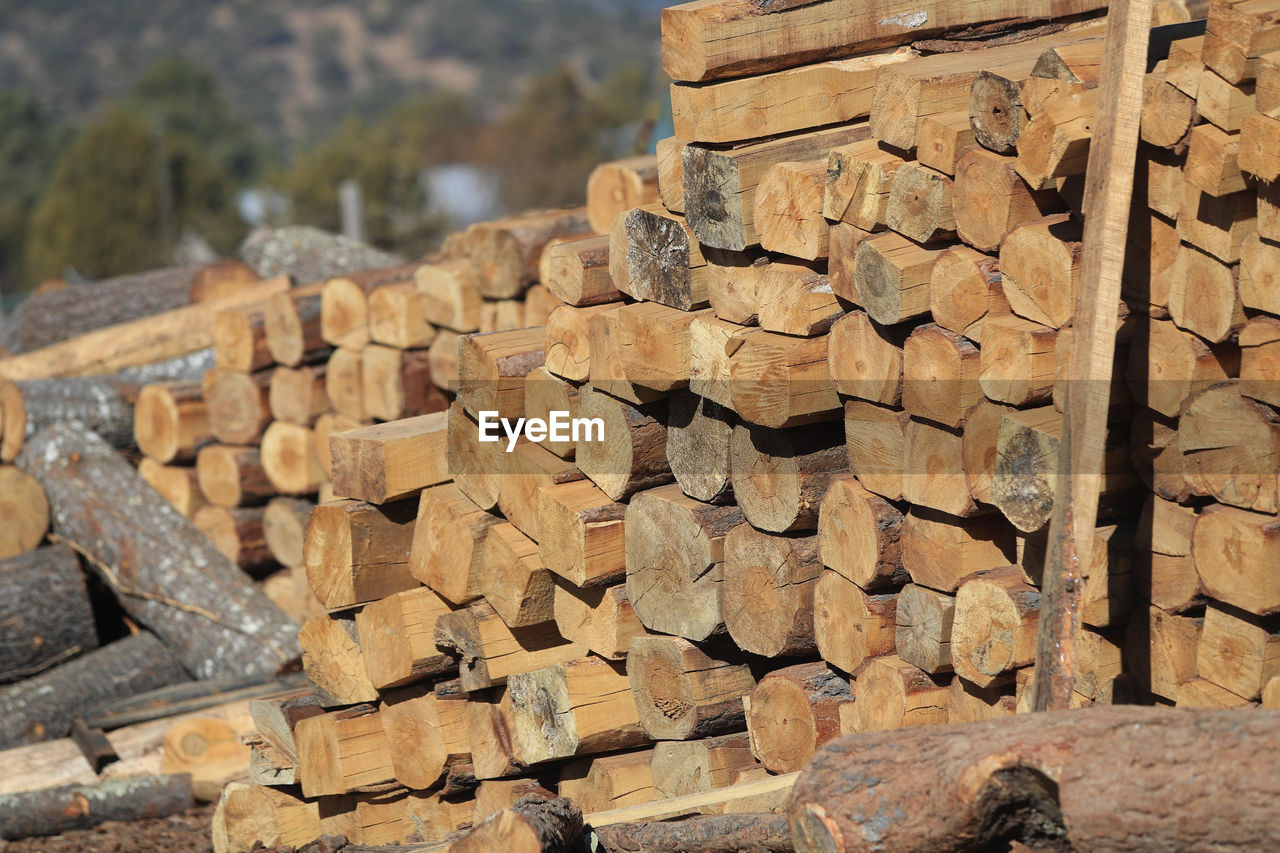 wall, brick, wood, rock, large group of objects, stone wall, abundance, timber, brickwork, nature, ancient history, no people, lumber, industry, soil, forest, log, outdoors, lumber industry, day, tree, deforestation, heap, architecture, construction industry, firewood, woodpile