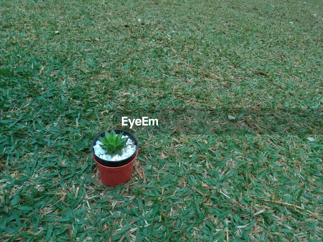 HIGH ANGLE VIEW OF DRINK ON FIELD BY LAND