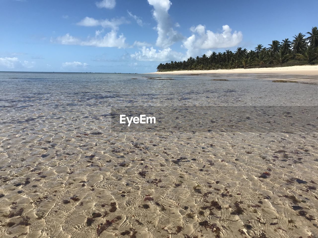 SURFACE LEVEL OF SAND ON BEACH AGAINST SKY