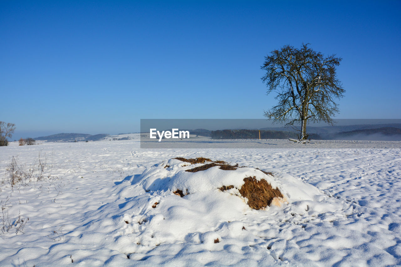 SCENIC VIEW OF SNOWCAPPED FIELD AGAINST CLEAR BLUE SKY