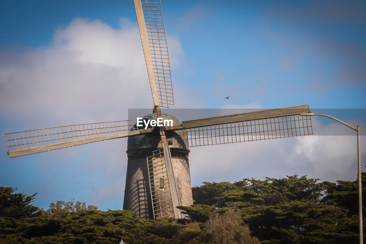 Windmill at golden gate park