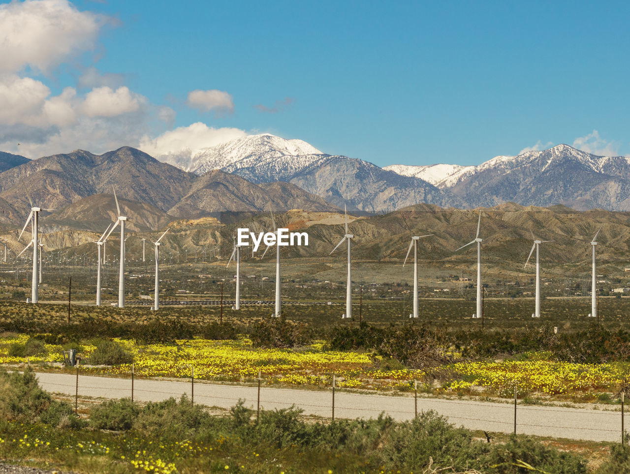 Wind turbines at palm springs