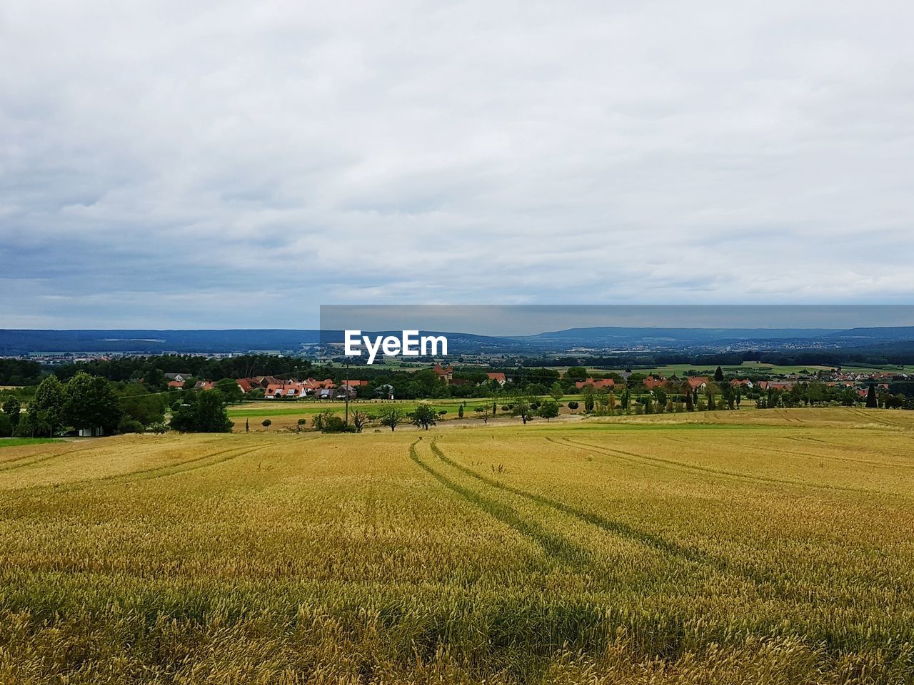 SCENIC VIEW OF AGRICULTURAL LANDSCAPE AGAINST SKY