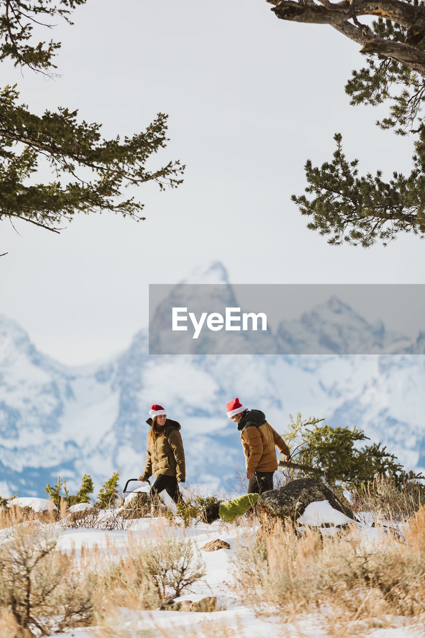 Couple cuts down christmas tree in the tetons christmas tree