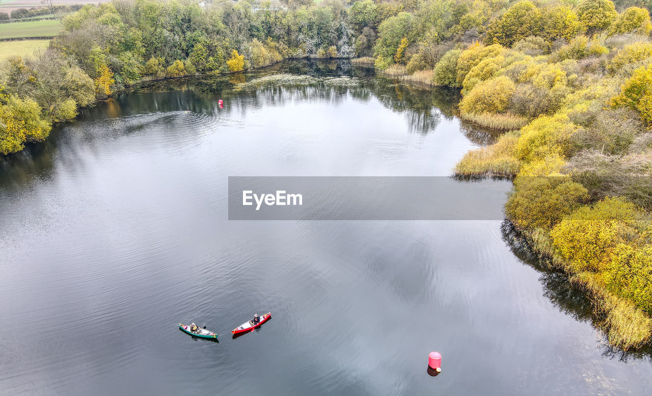 HIGH ANGLE VIEW OF TREES BY LAKE