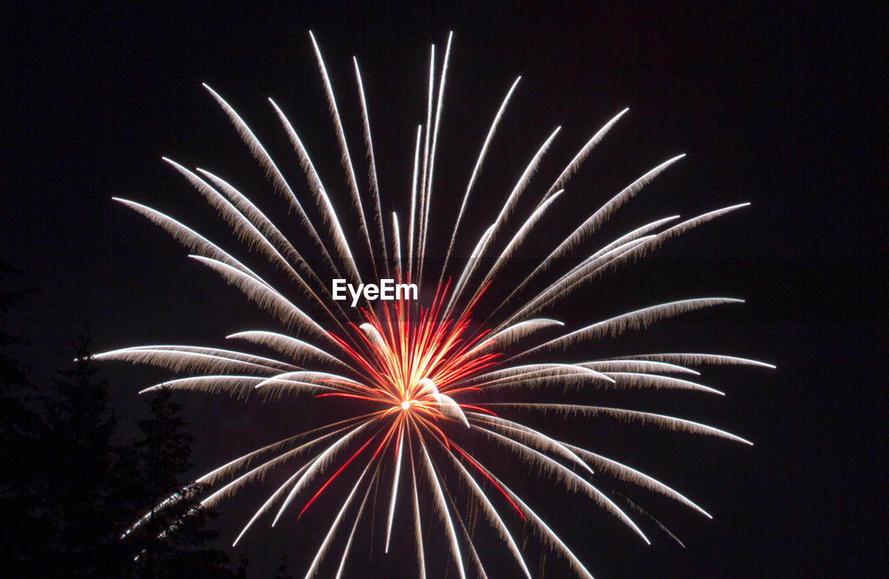 Low angle view of firework display at night