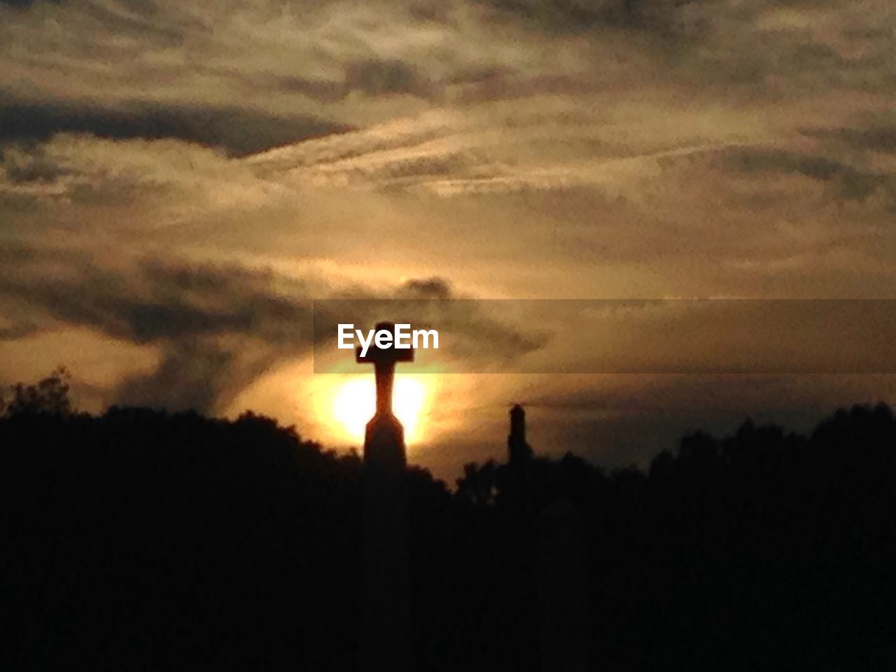 SILHOUETTE OF TREES AT SUNSET