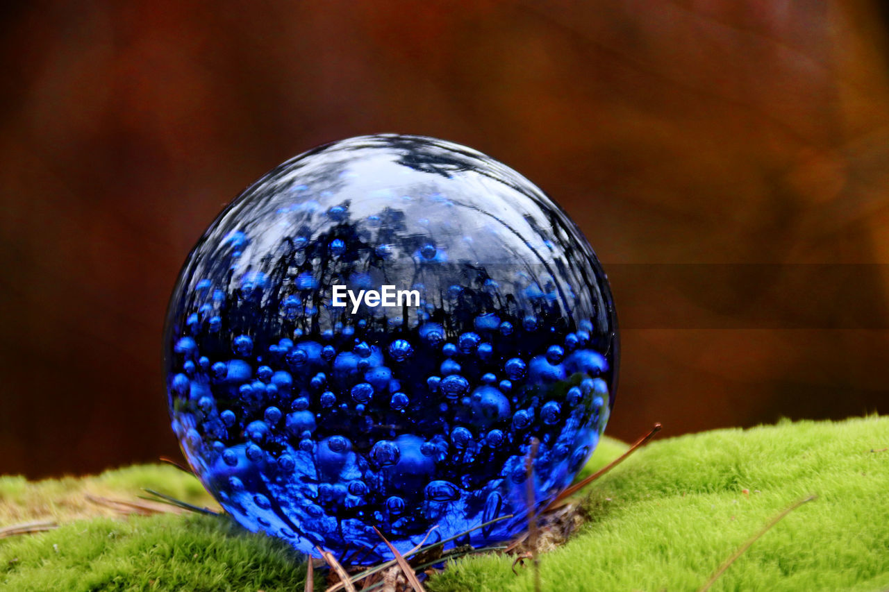 CLOSE-UP OF BLUE BALL ON GLASS