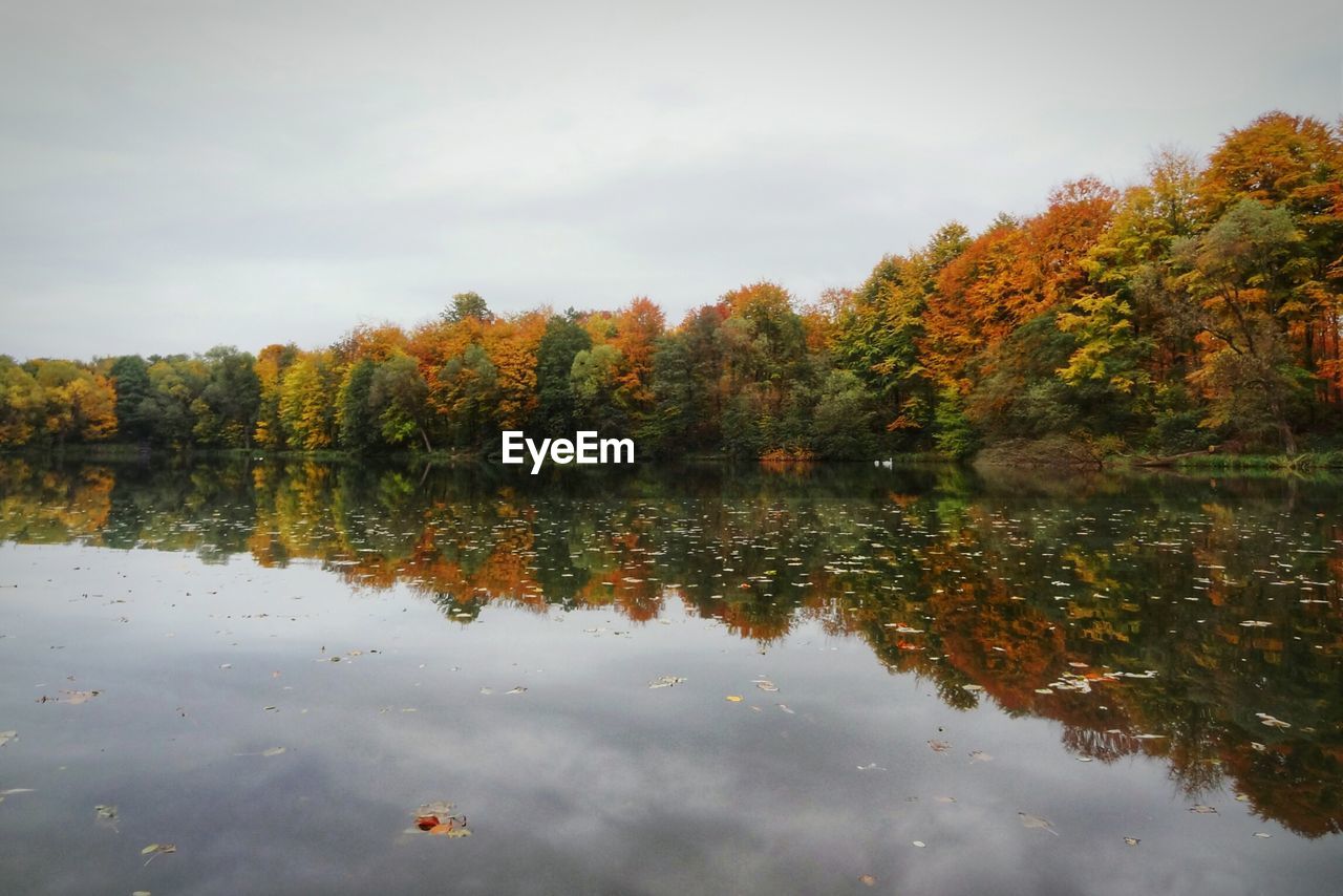 Reflection of trees in river against sky during autumn