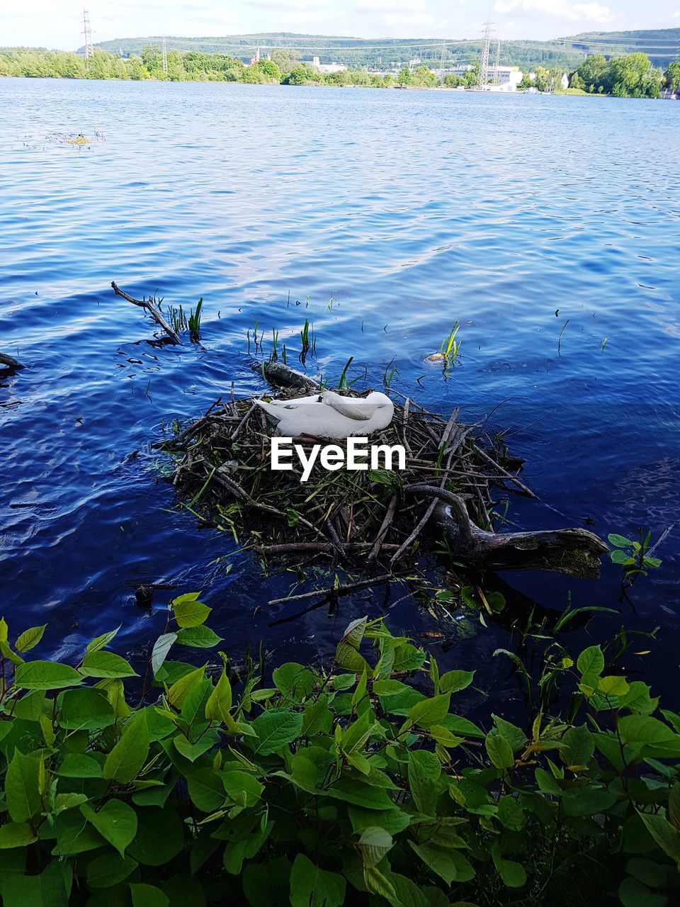 Scenic view of lake