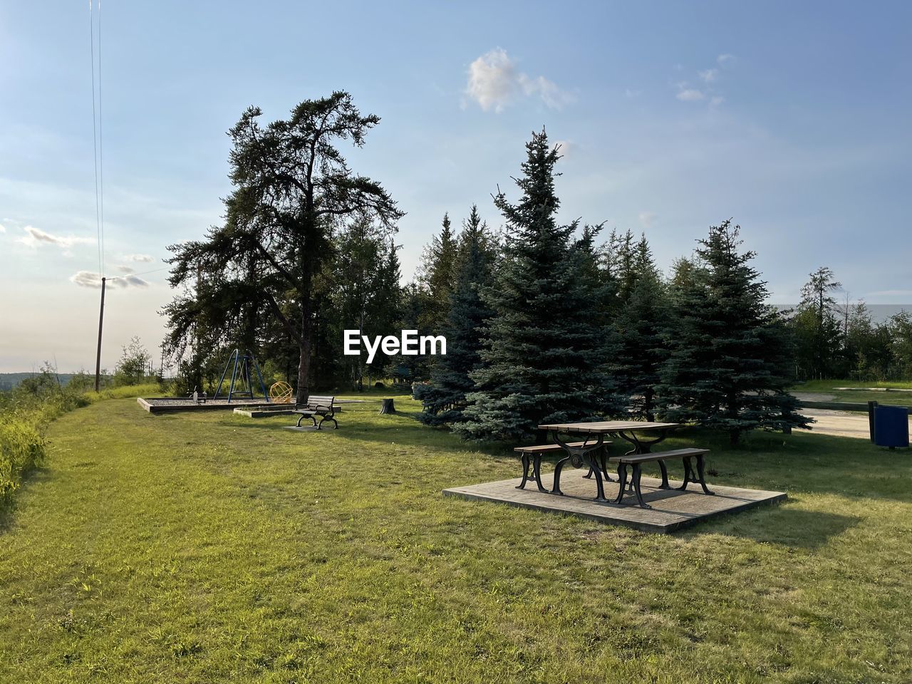 plant, tree, sky, grass, nature, seat, no people, beauty in nature, tranquility, cloud, green, scenics - nature, tranquil scene, land, environment, landscape, day, meadow, coniferous tree, bench, chair, outdoors, non-urban scene, field, sunlight, table, growth, lawn, rural area, absence, idyllic, furniture, pinaceae