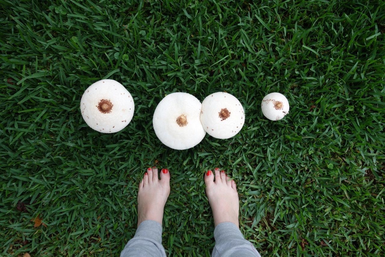 Low section of woman standing on grass