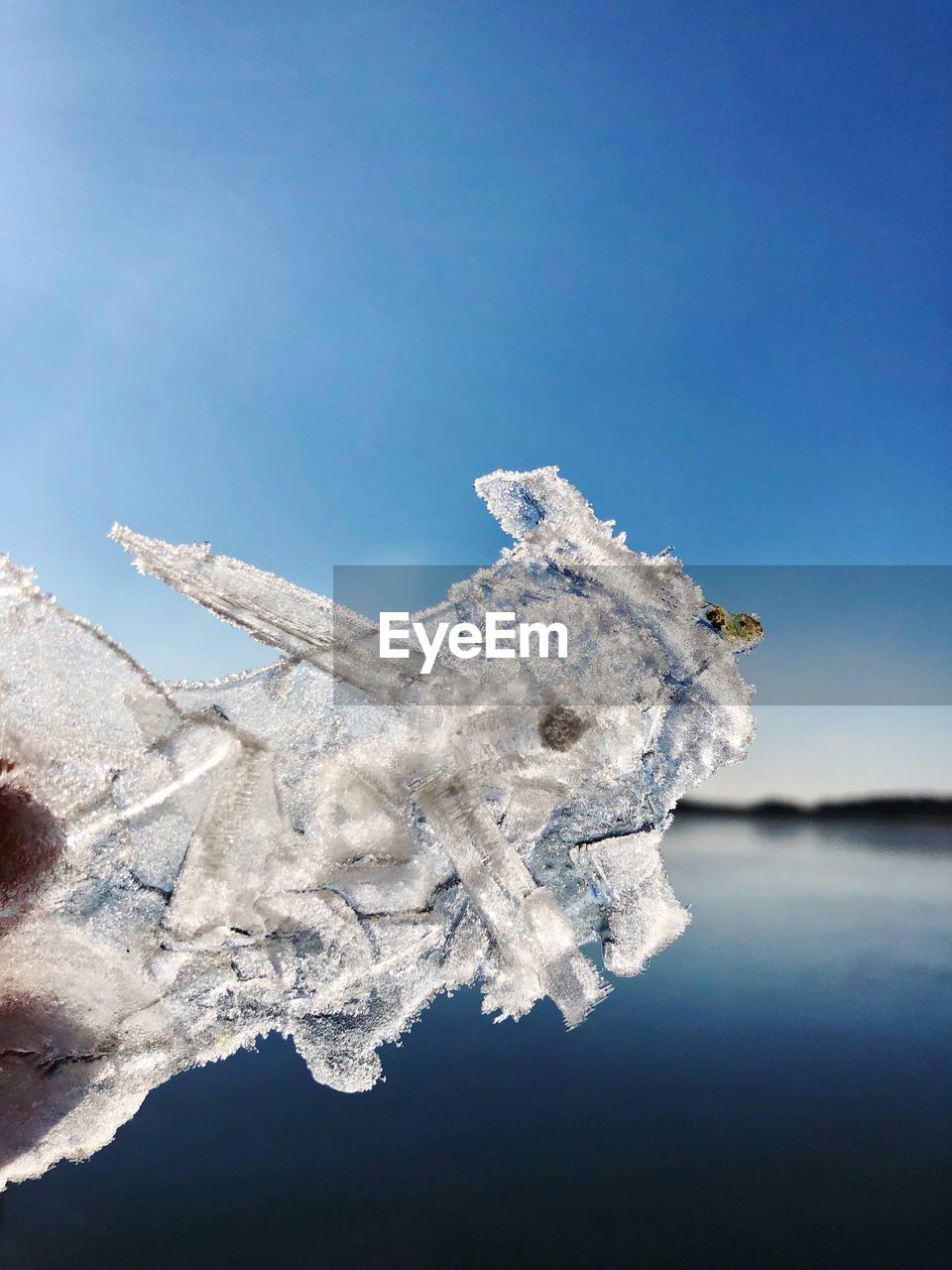 CLOSE-UP OF FROZEN TREE AGAINST SKY