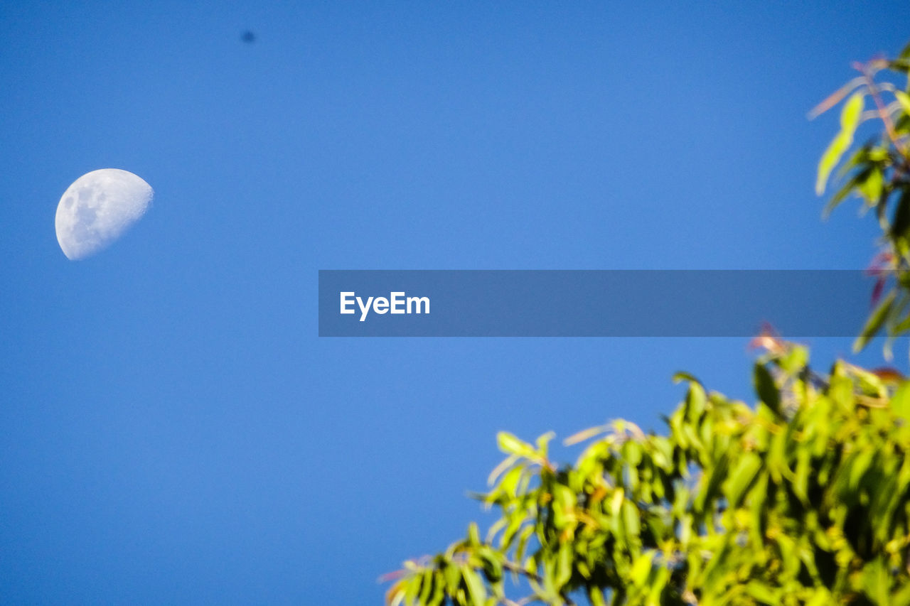 LOW ANGLE VIEW OF FRESH BLUE SKY