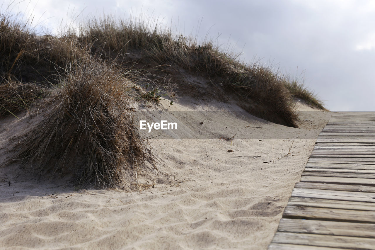 SURFACE LEVEL OF BOARDWALK ON SAND