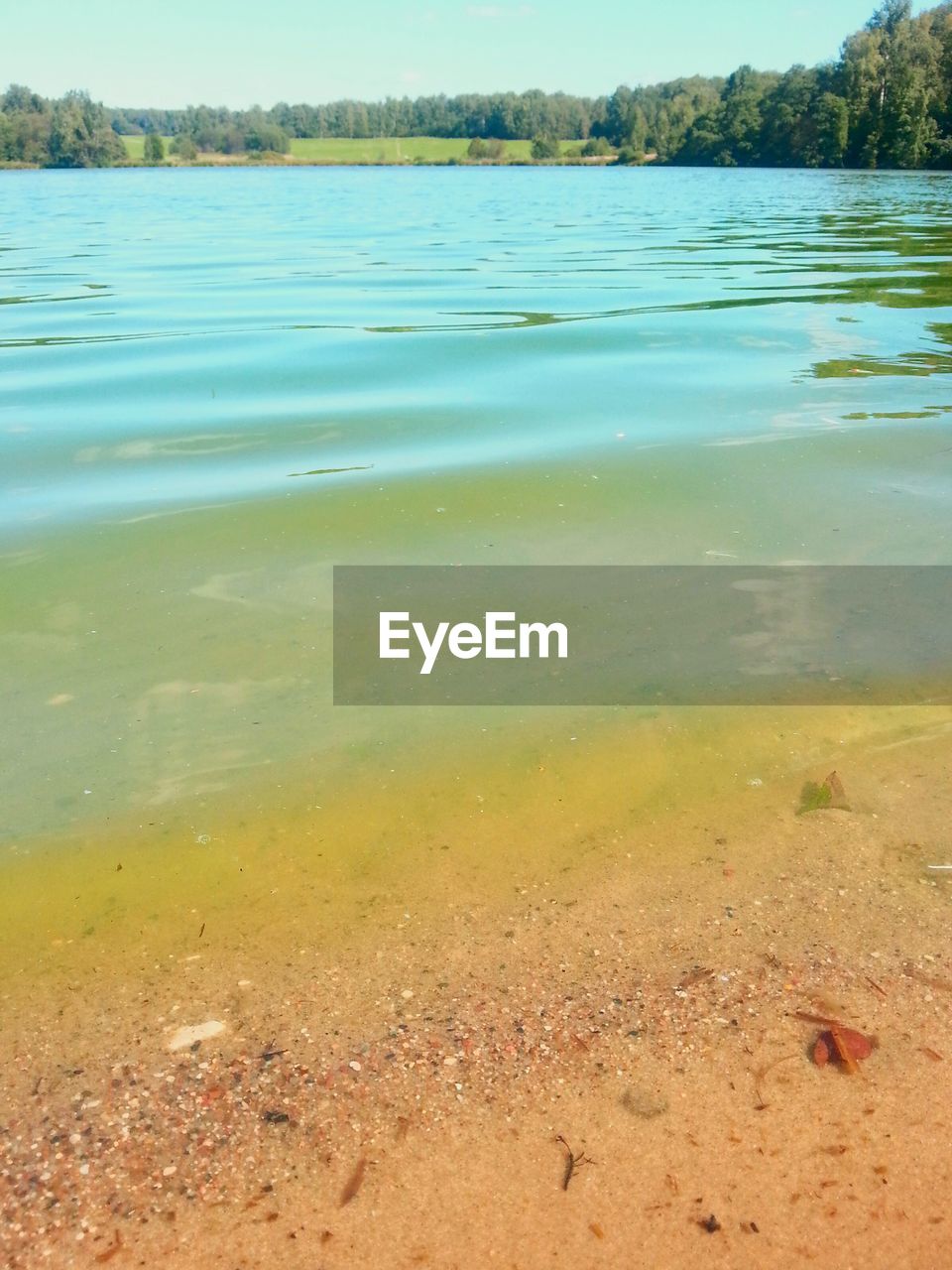 TRANQUIL SCENE OF LAKE