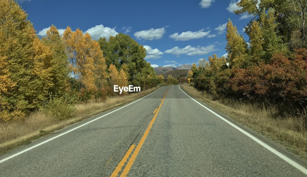 EMPTY ROAD AMIDST TREES AGAINST SKY