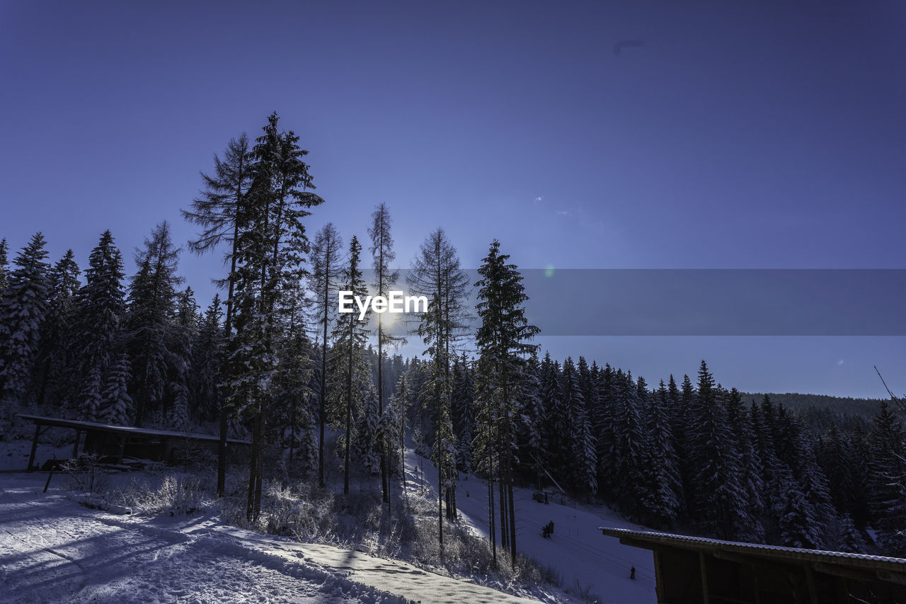 SCENIC VIEW OF SNOW COVERED LAND AGAINST SKY