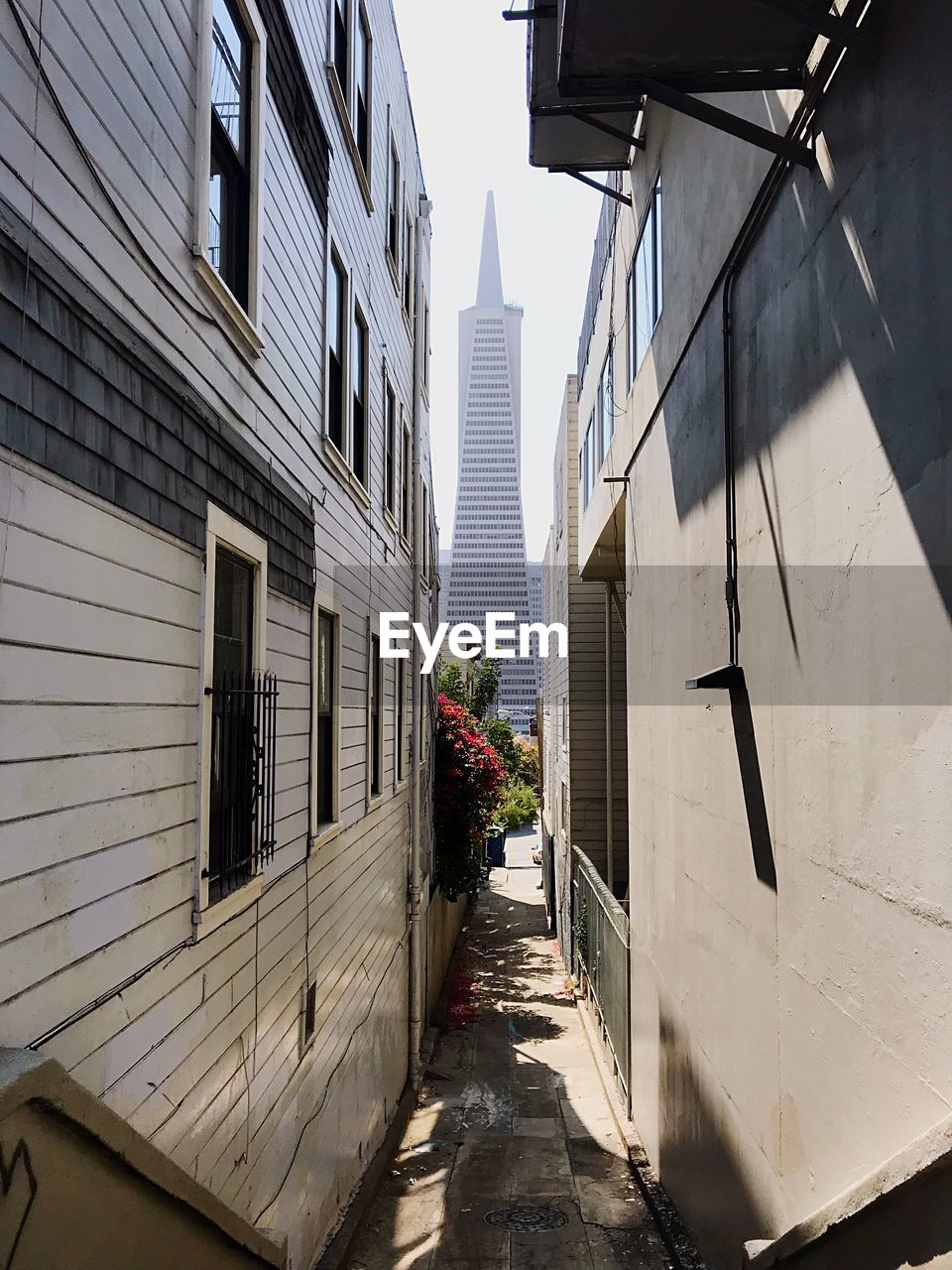 NARROW ALLEY AMIDST BUILDINGS