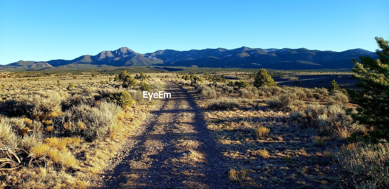 SCENIC VIEW OF LANDSCAPE AGAINST CLEAR BLUE SKY