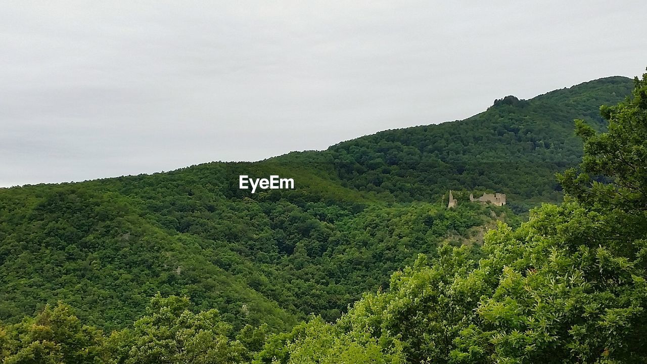 SCENIC VIEW OF MOUNTAINS