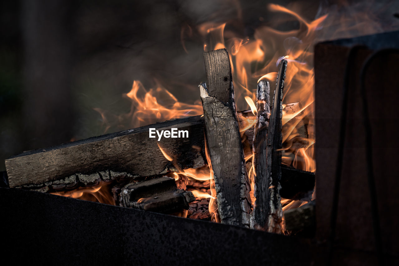 Close-up of fire on log