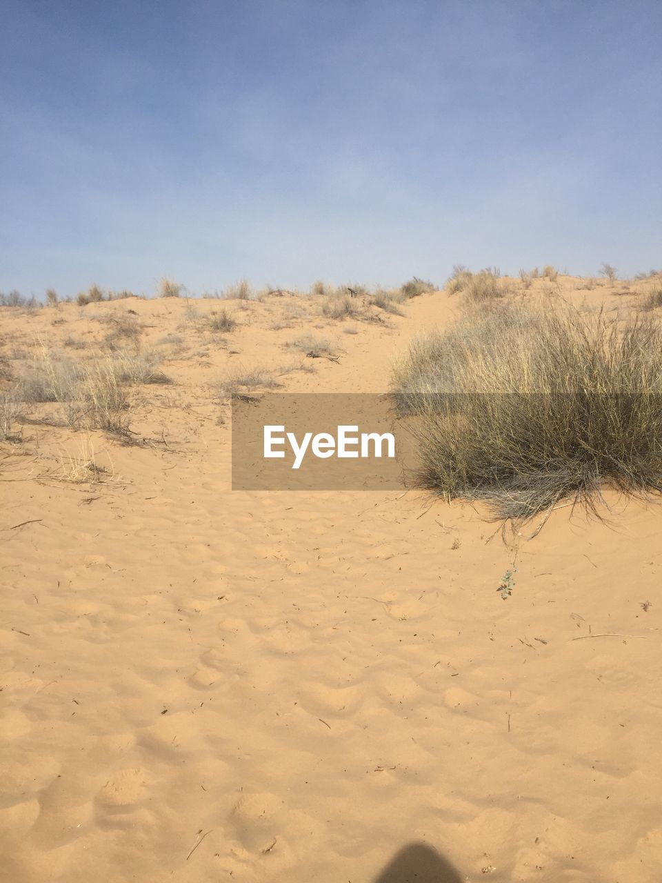 SCENIC VIEW OF DESERT AGAINST SKY