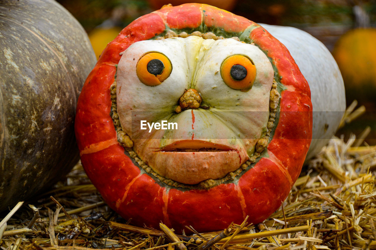 Pumpkin face on halloween
