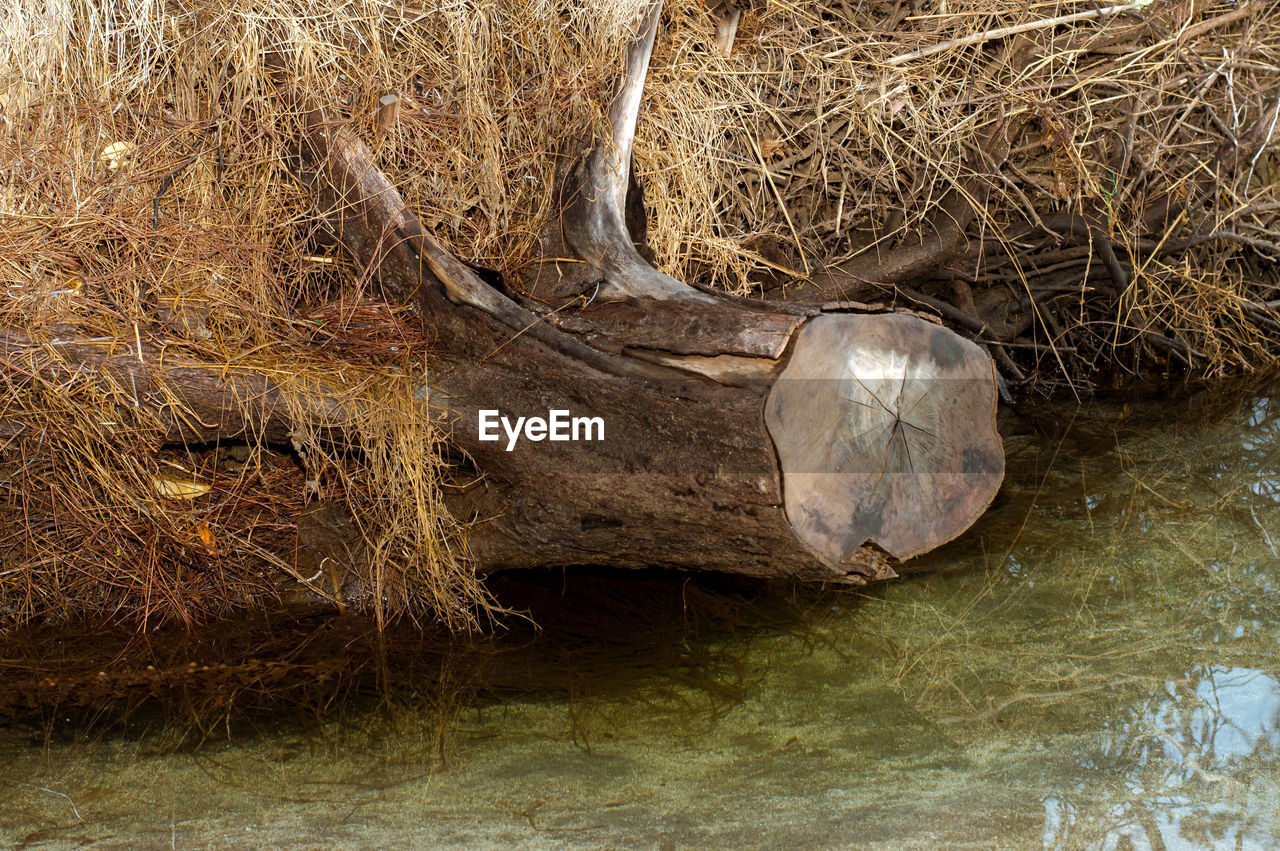 CLOSE-UP OF WATER IN SHALLOW