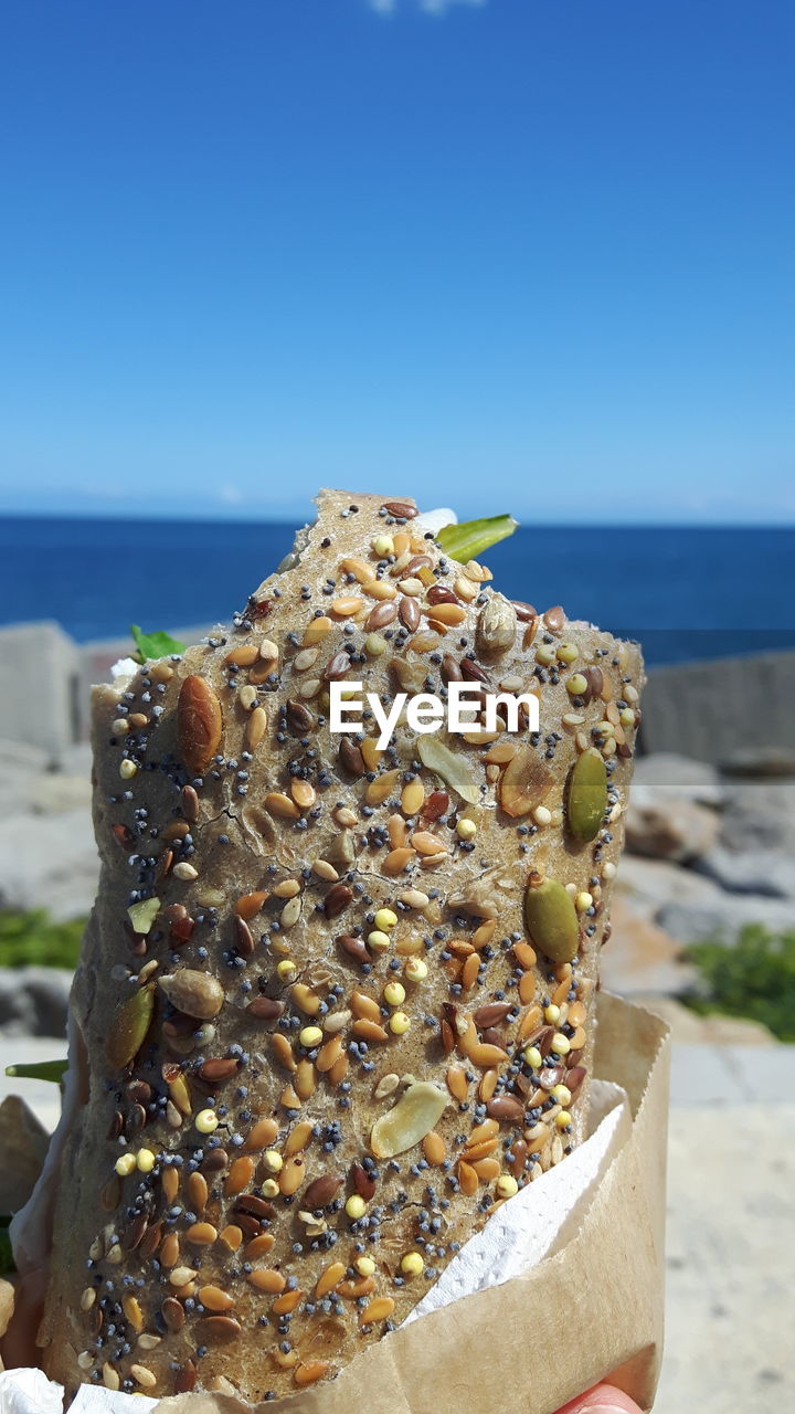 CLOSE-UP OF SEA SHORE AGAINST CLEAR SKY