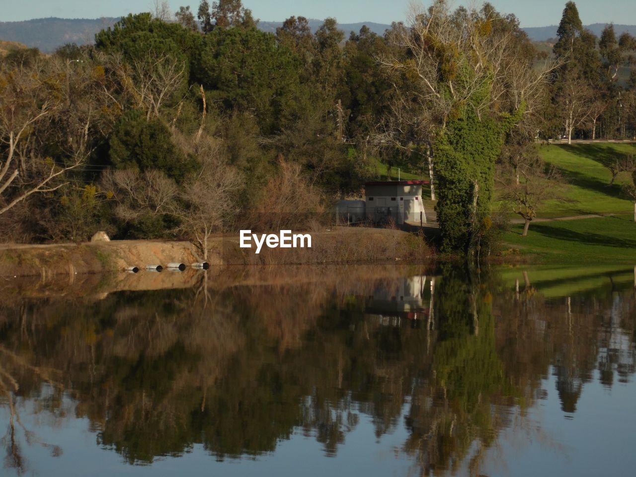 REFLECTION OF TREES IN LAKE