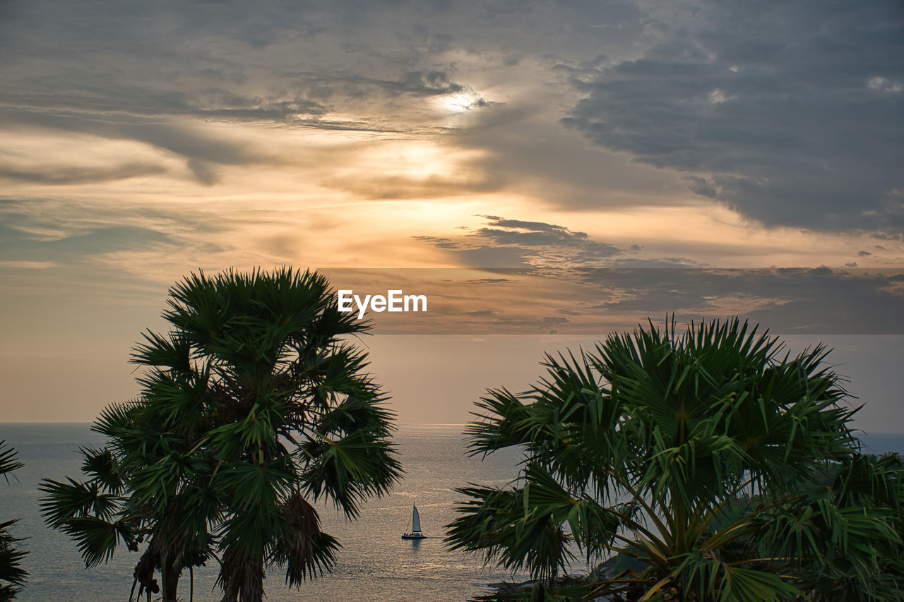 PALM TREES AGAINST SKY AT SUNSET