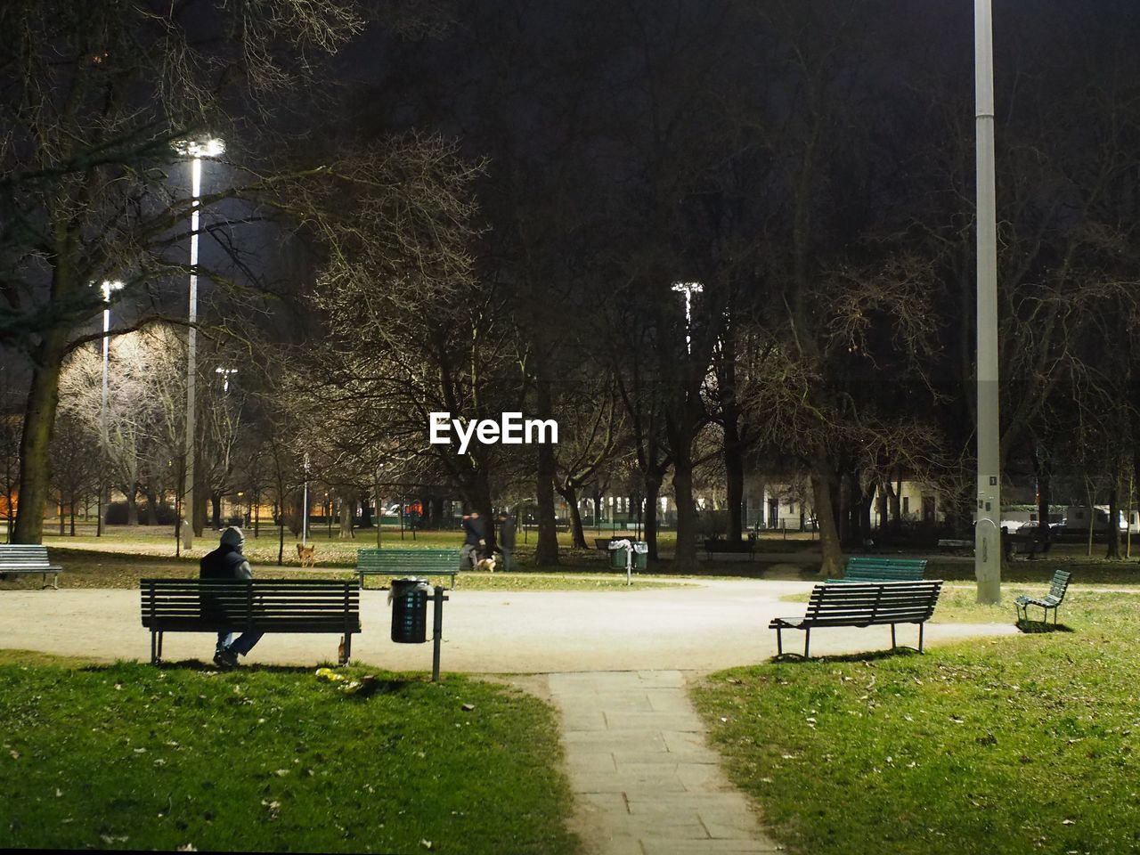 PARK BENCH ON STREET AT NIGHT IN CITY