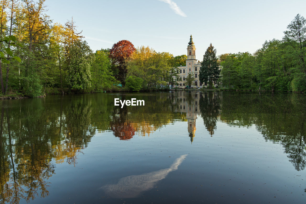 REFLECTION OF TREES IN LAKE