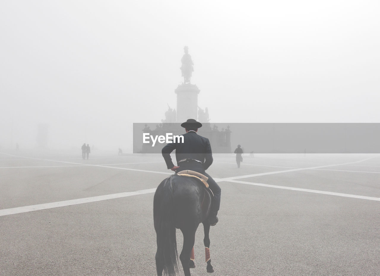 Rear view of man riding horse in foggy weather