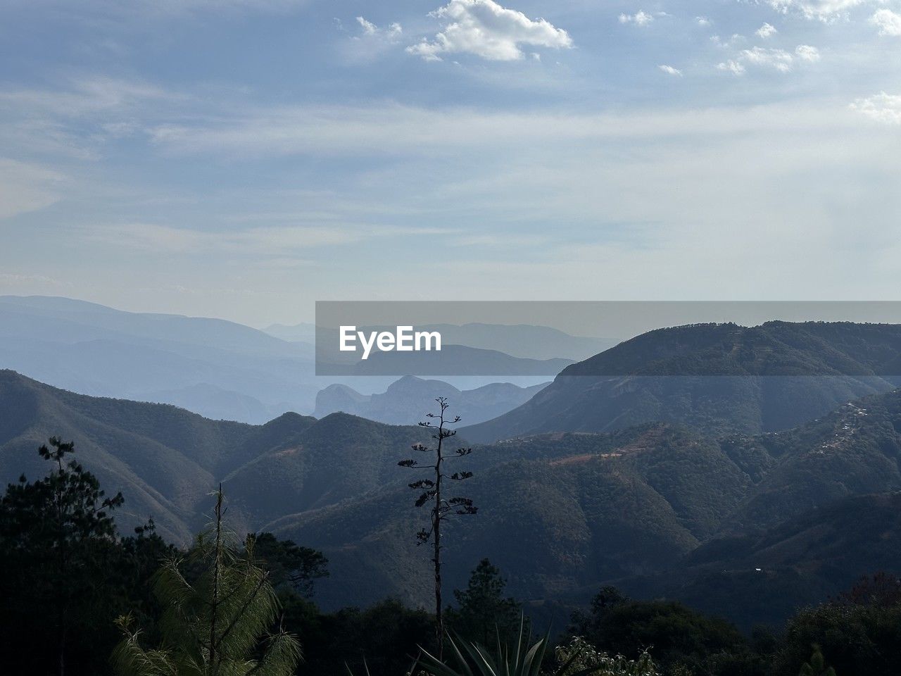 mountain, sky, scenics - nature, nature, environment, mountain range, beauty in nature, landscape, cloud, tree, plant, wilderness, land, tranquility, no people, tranquil scene, non-urban scene, travel destinations, travel, outdoors, forest, day, tourism, pinaceae, ridge, coniferous tree, morning, idyllic, valley, fog, pine tree