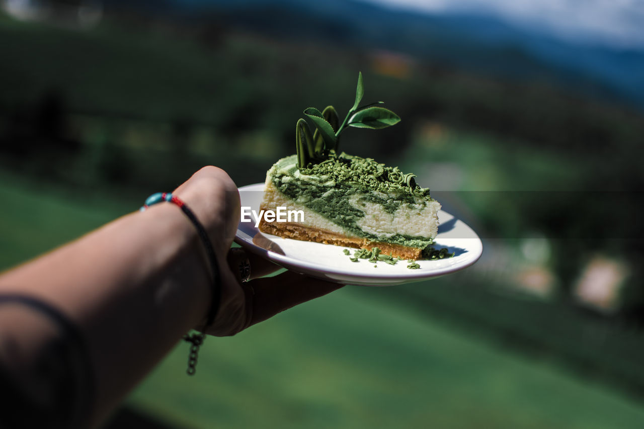 Close-up of hand holding matcha cake