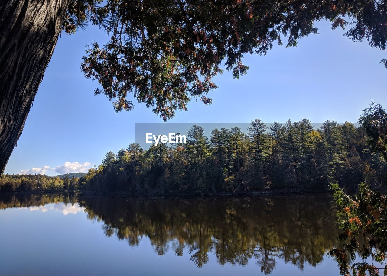 Reflection of trees in lake against sky