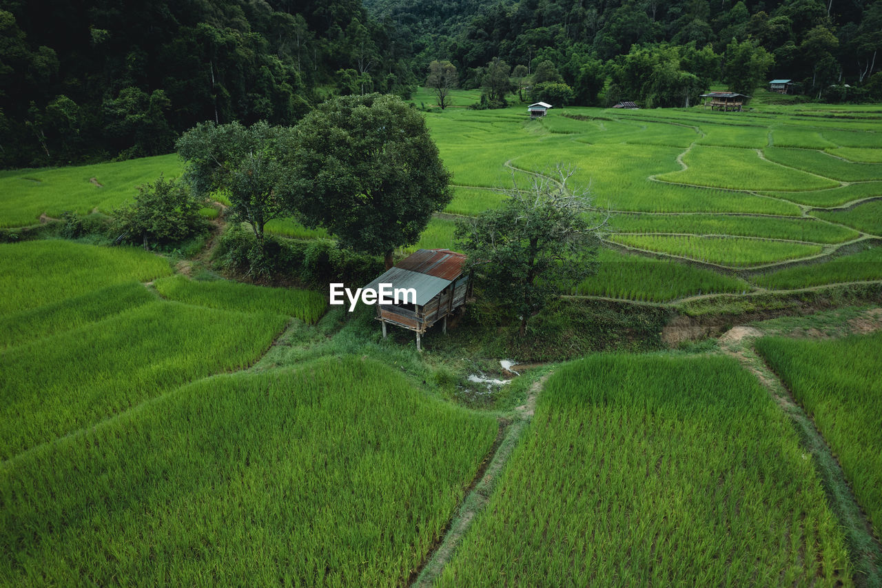 high angle view of agricultural field against sky