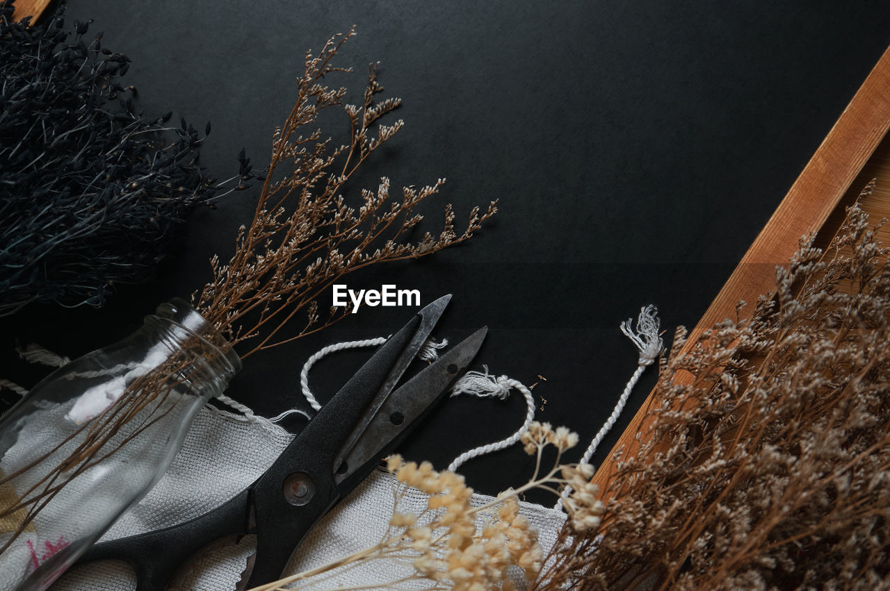 High angle view of dried flowers