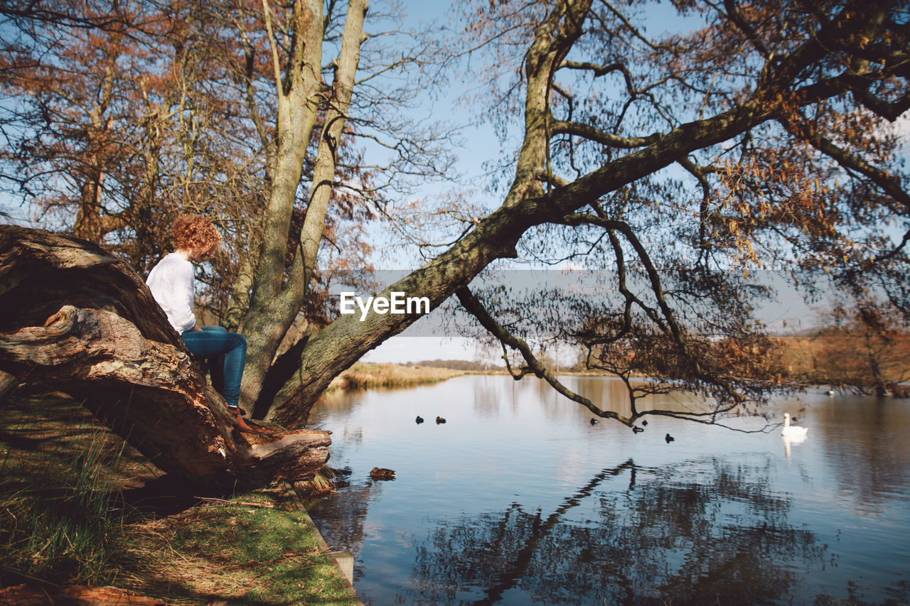 Woman sitting on branch at lakeshore in richmond park