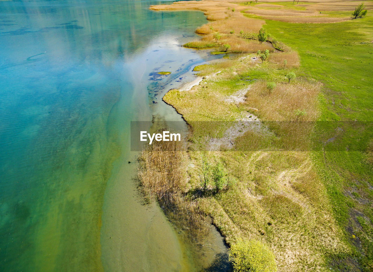 HIGH ANGLE VIEW OF PLANTS ON BEACH