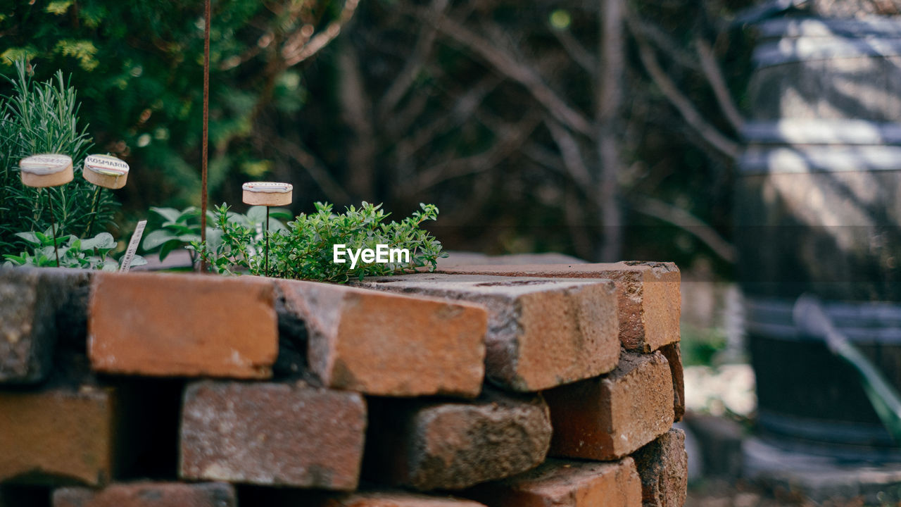 CLOSE-UP OF STONE STACK AGAINST PLANTS